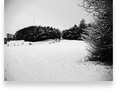 Art 11